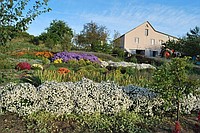 Цветы и сад Кулаковских