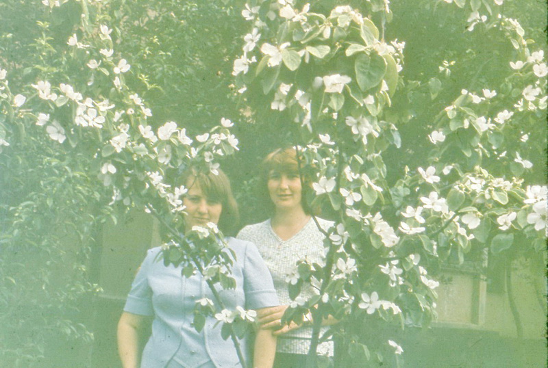 Ханабад 1978 наши Боевые Подруги в цветущем саду