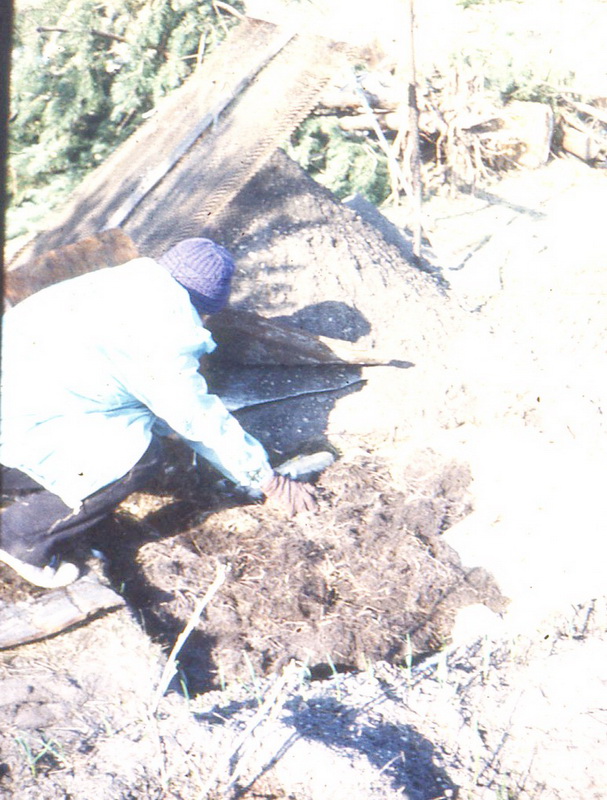Хаапсалу 1988 моя Боевая Подруга в будущем саду